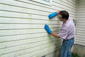 Siding Removal and Disposal in Waterloo, WI